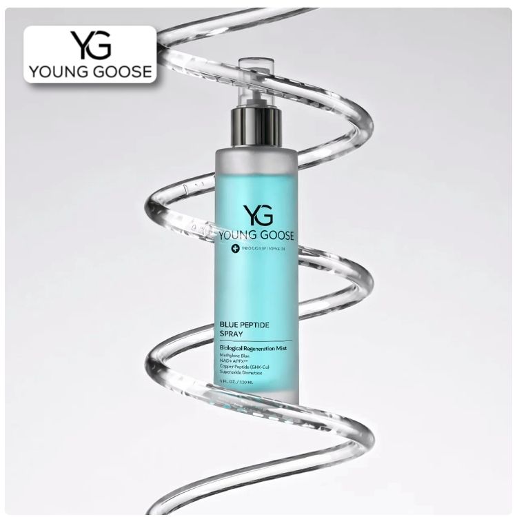 Logo promocion Young Goose
